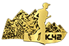 Pin de Oro